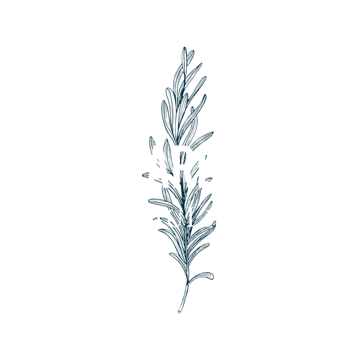 TheArbour_Logo_Rosemary_100%Slate&White_AW