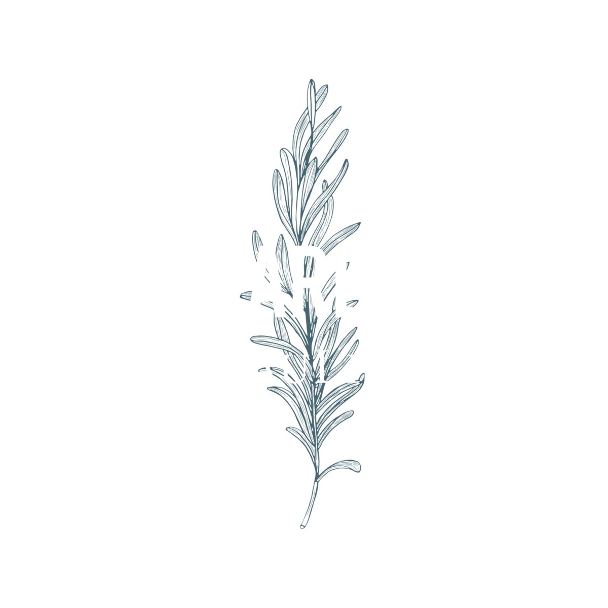 The Arbour logo
