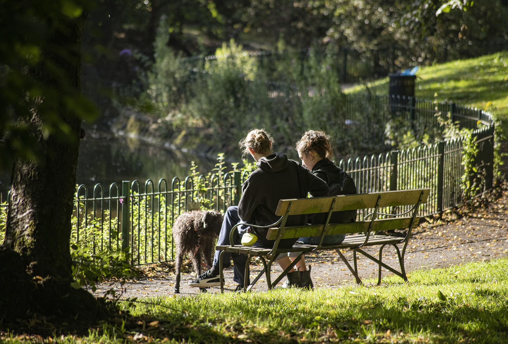 Park bench