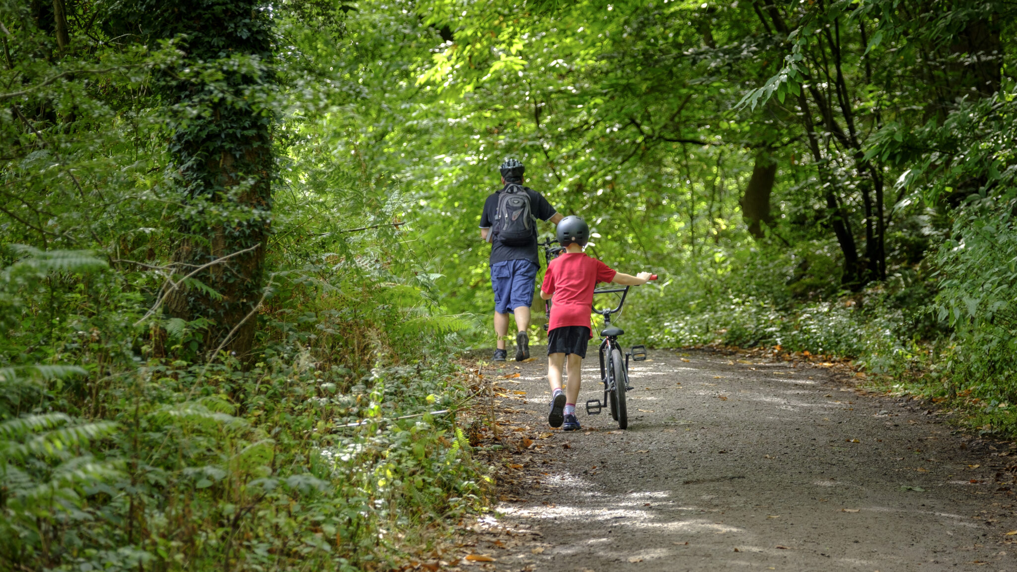 Delamere Forest Cyclists