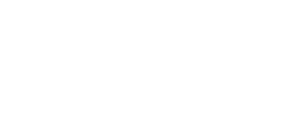 Excalibur transparent logo