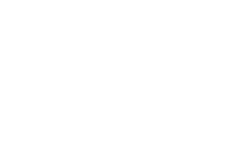 The Quarry transparent logo
