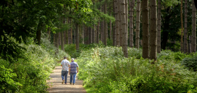 Living in Cheshire: Area Guide | Homes in Cheshire